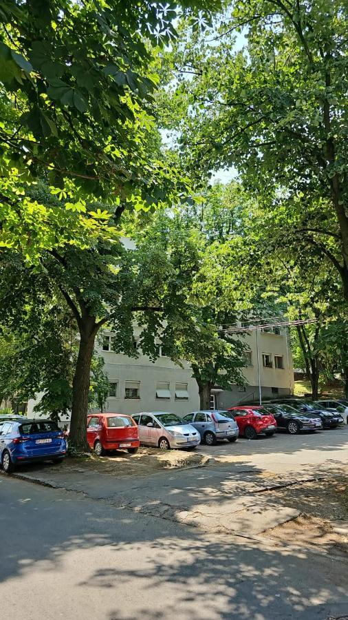 Apartman Maja Beograd Bagian luar foto