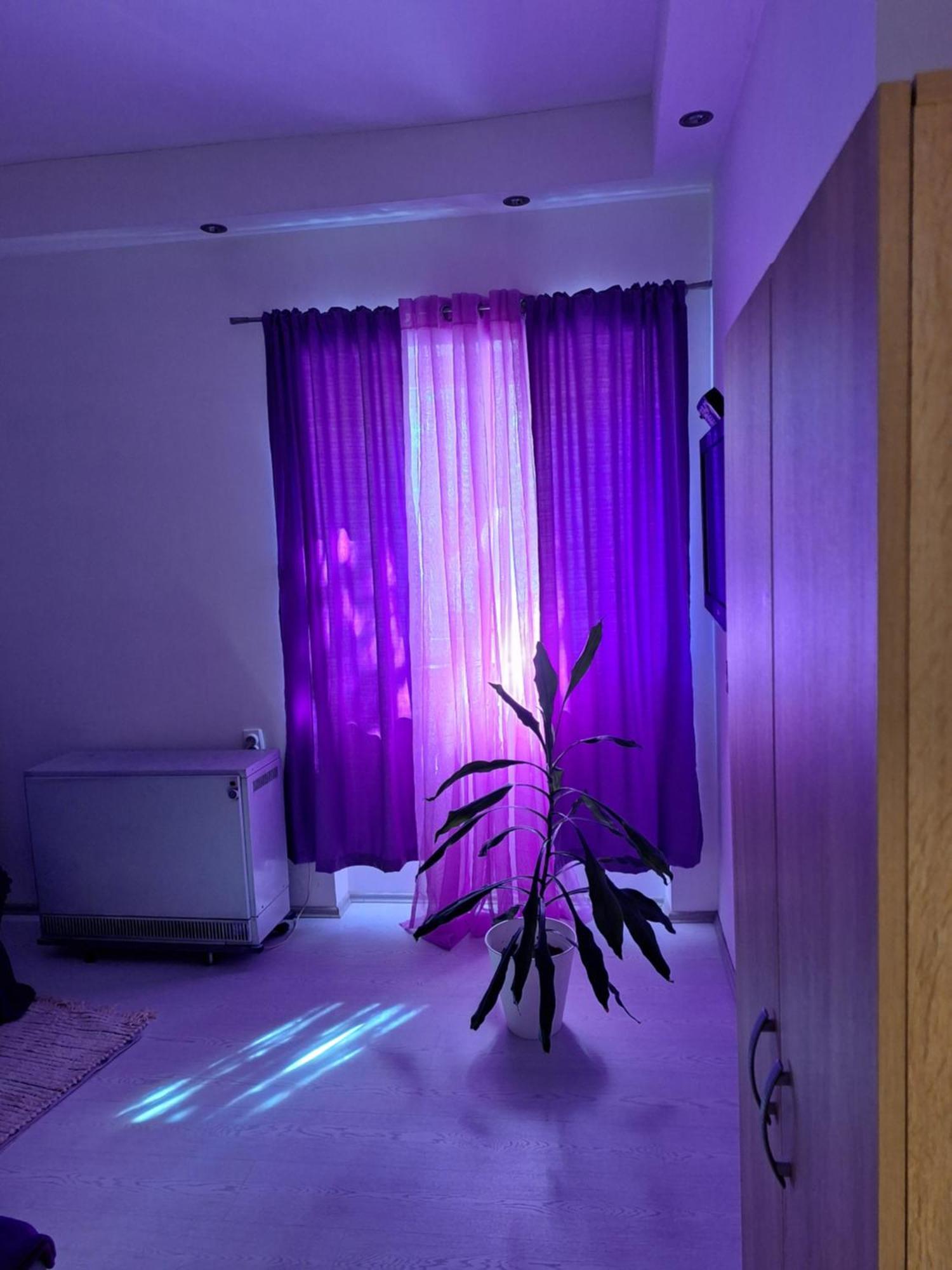 Apartman Maja Beograd Bagian luar foto